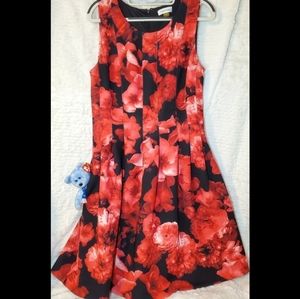 Calvin Klein Dress with pockets